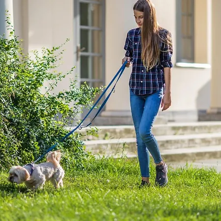 Bed & Breakfast Tarnoca Kuria Soponya