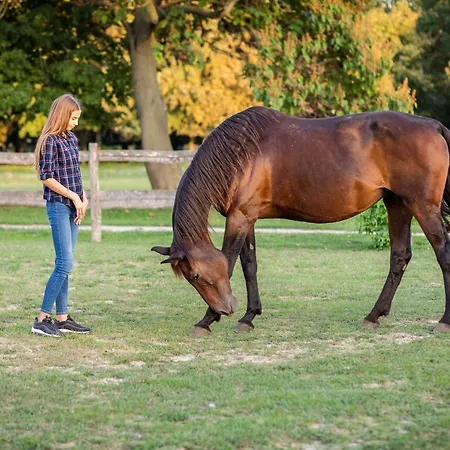 Tarnoca Kuria Bed & Breakfast