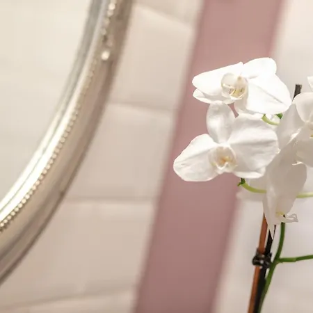 Bed & Breakfast Tarnoca Kuria