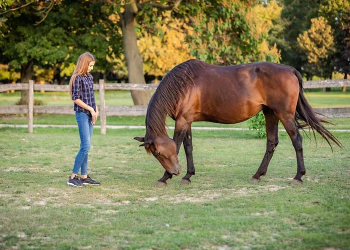 Tarnoca Kuria Frühstückspension