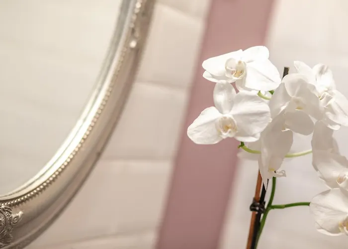 Frühstückspension Tarnoca Kuria